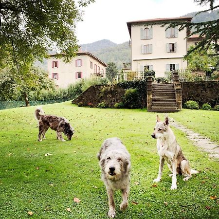 Alpe Del Lupo Hotel San Fedele Intelvi Kültér fotó