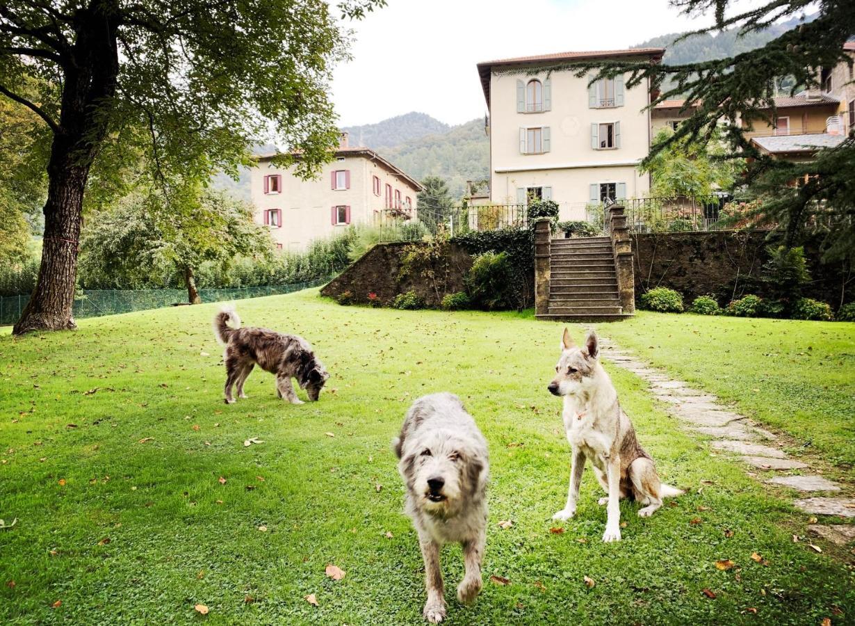 Alpe Del Lupo Hotel San Fedele Intelvi Kültér fotó